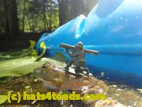 /home//u458753944/public_html/sourcegallery//////Frogs/Bullfrogs 2016-08 Ontario/P8081401.JPG